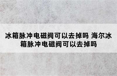 冰箱脉冲电磁阀可以去掉吗 海尔冰箱脉冲电磁阀可以去掉吗